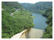 橋の上から見た浅瀬