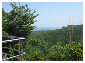 展望台から見た景色