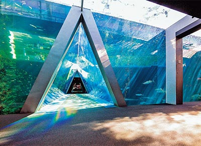 アクアマリンふくしまの「潮目の海」大水槽