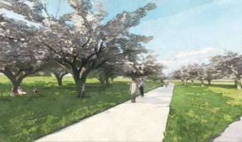 さくらの丘の写真