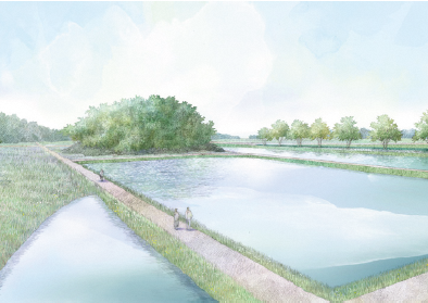 だんご山の画像