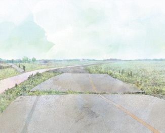 因海啸等造成的路面损毁1