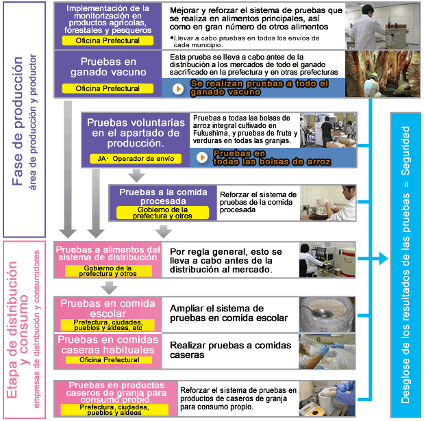 Image: Flow of inspection