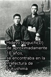 Image: Hideyo Noguchi