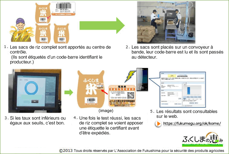 Testing of all volume and all bags of rice