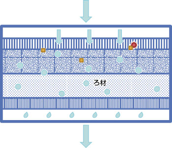 ろ過池のイラスト