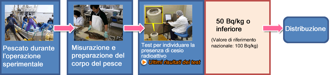 In case of sea products