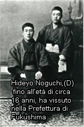 Image: Hideyo Noguchi