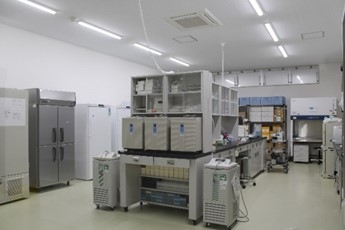 하마도리 새틀라이트의 모습2