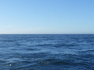 ALPS 처리수 관련 해역 모니터링 결과