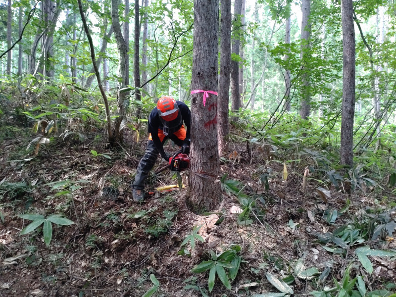 南会津森林組合1