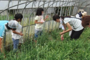 生活協同組合あいコープふくしま