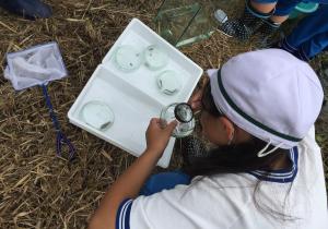 出前講座の様子2