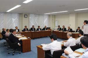 健康・文化スポーツ振興対策特別委員会