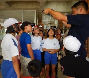 アクアマリンふくしまの講師から説明を受けている様子