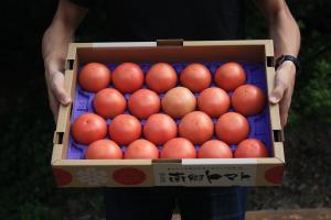 いたキャン2018（南郷トマト）