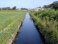 農業用水路の写真