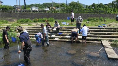 水生生物採集の様子１