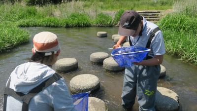水生生物採集の様子２