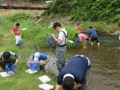水生生物の採集と観察