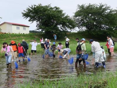 水生生物調査の様子