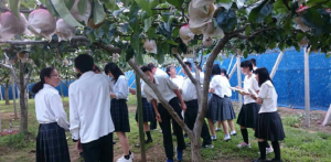 三重県立久居農林高校　農場見学の写真