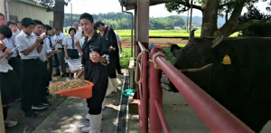 三重県立相可高校　農場見学の写真