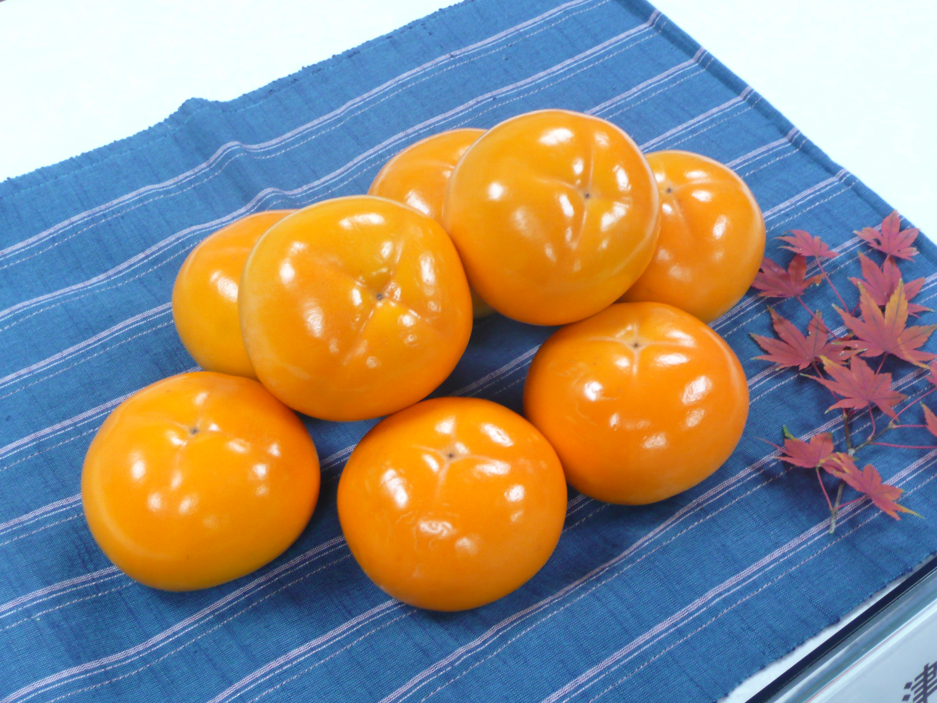 会津身不知柿の写真