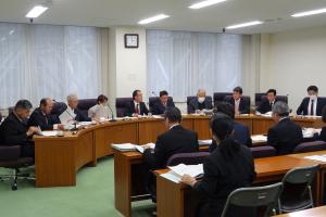 児童虐待防止に関する条例案検討会