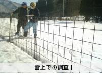 雪上での調査1