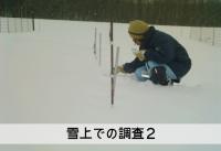 雪上での調査2