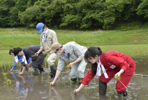 知事田植え２