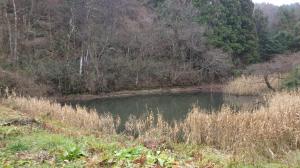 令和4年度　大名内池（全景）