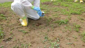 モニタリングプレ訓練　土壌試料