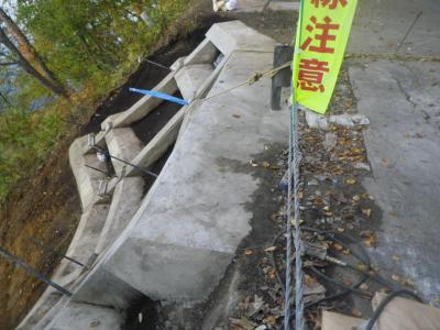 査定114　10月の様子1