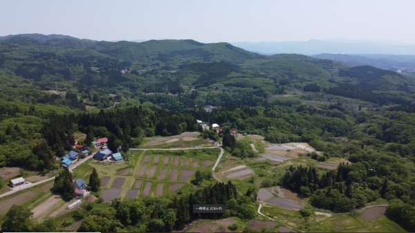 こづちやま棚田