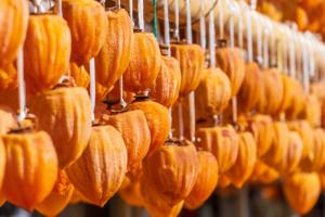 加工食品等之放射性物質檢查