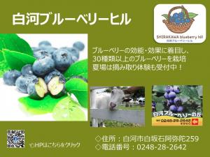 白河ブルーベリーヒル画像