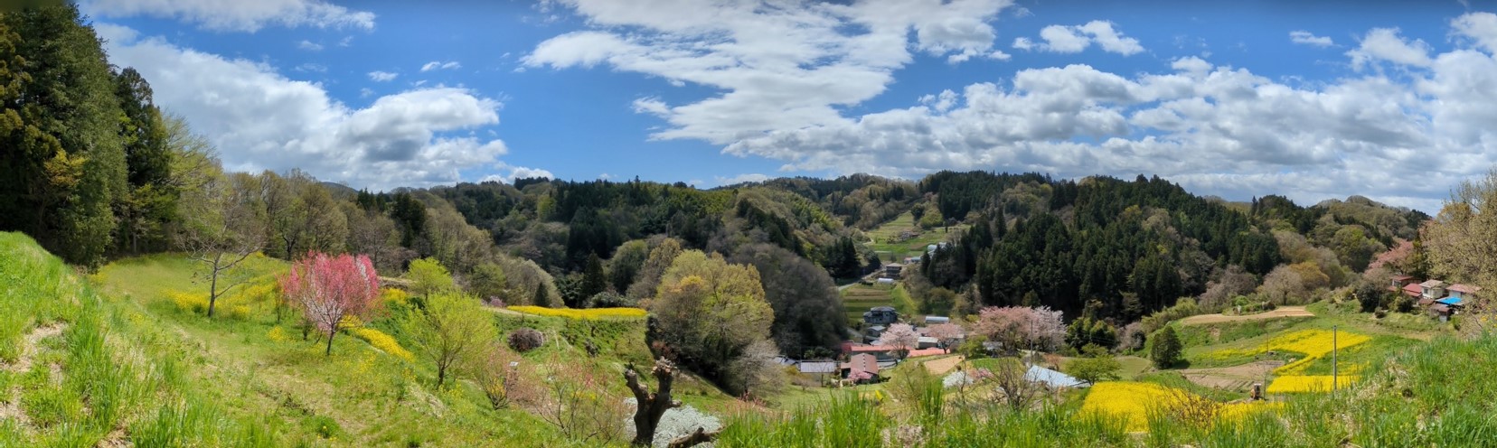 20240419_東和の布沢棚田