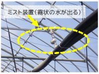 ミスト噴霧