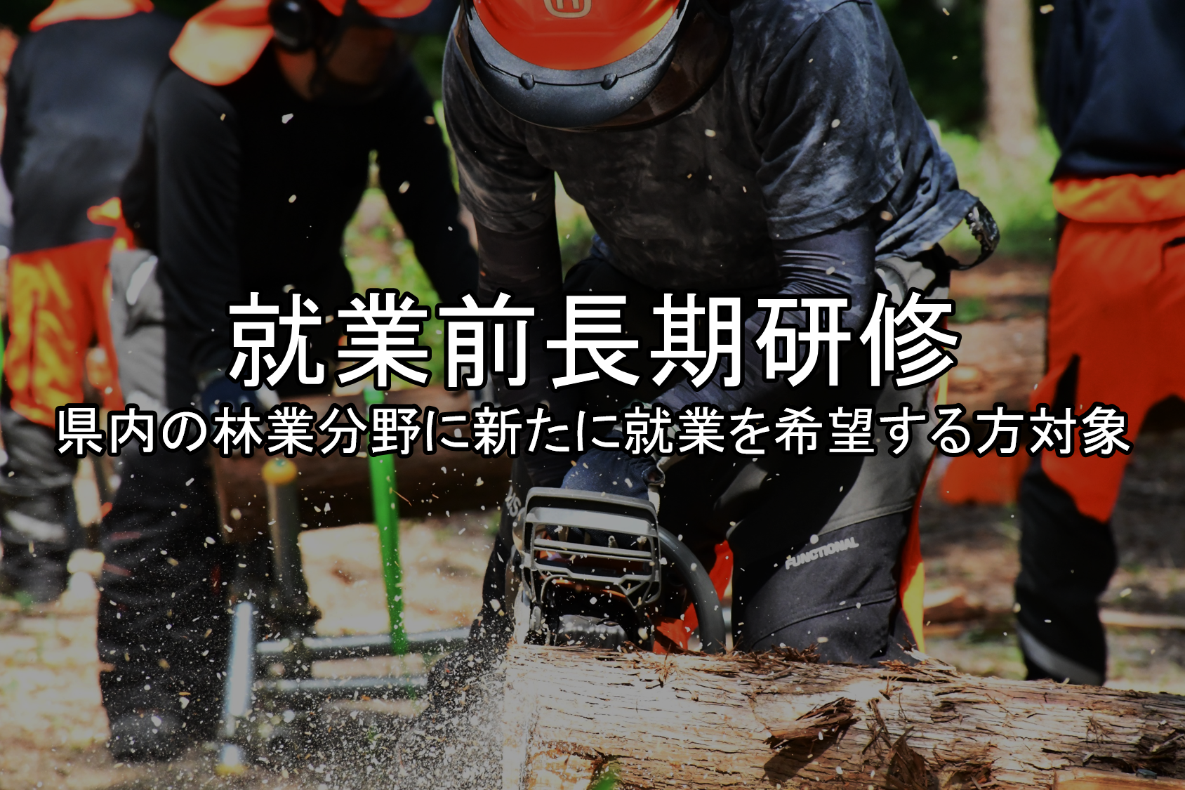 就業前長期研修