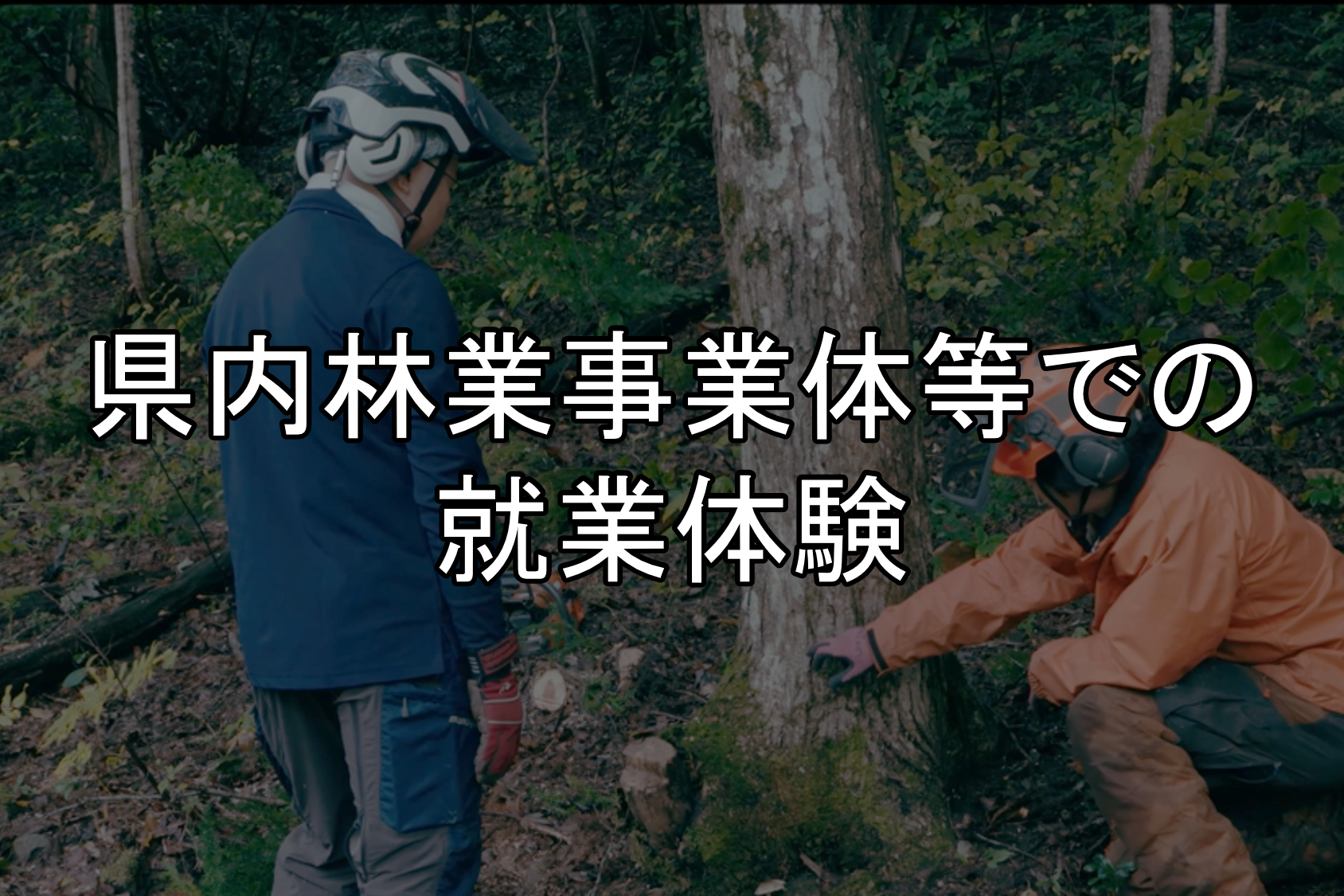 インターンシップ