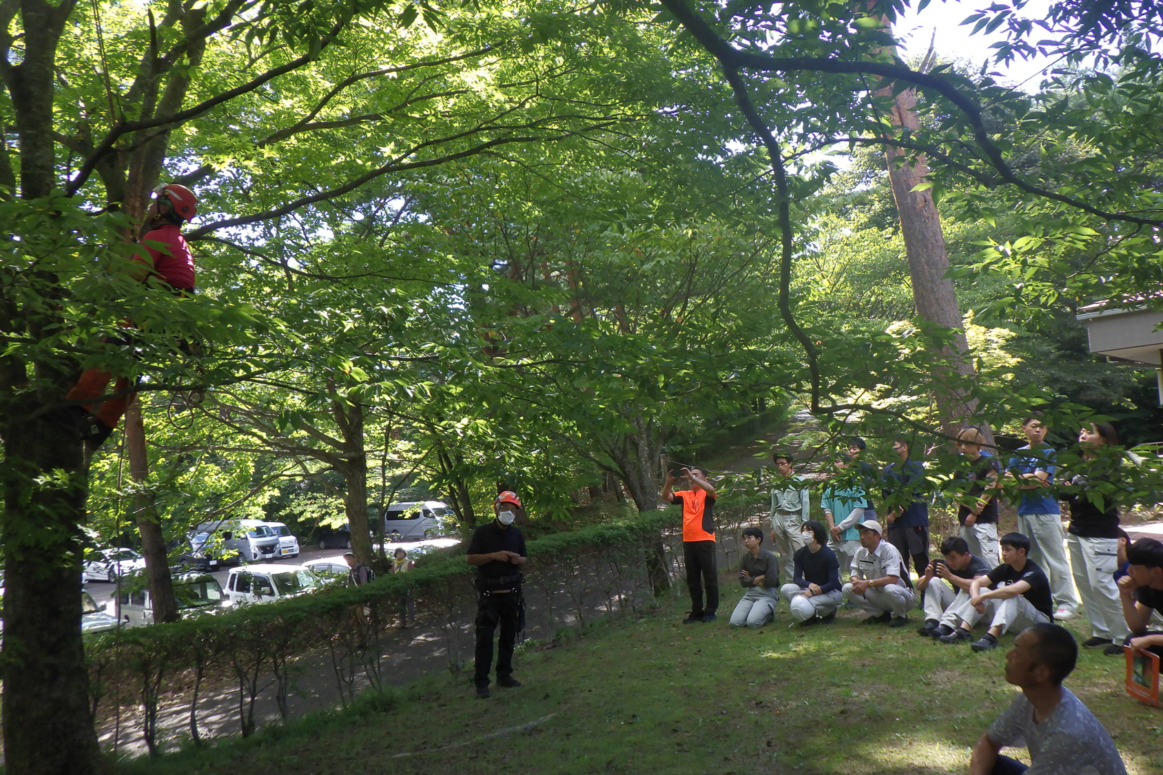 ロープ高所作業