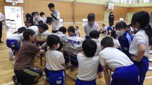 生きもの調査③