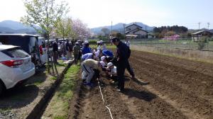 R6畑の学校　定植