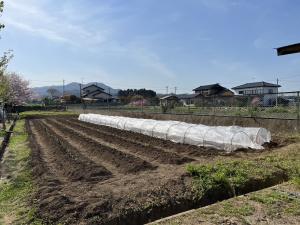 R6畑の学校4