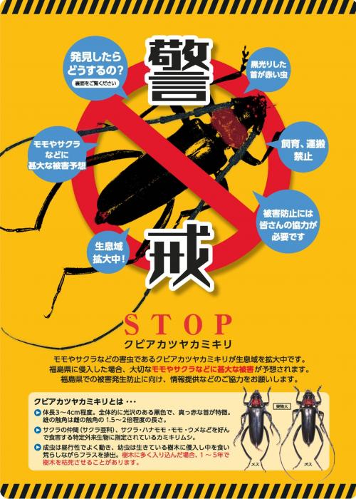 クビアカツヤカミキリ