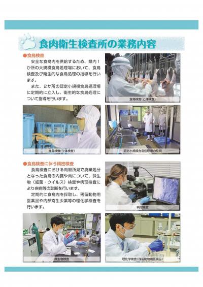 令和7年度獣医師募集パンフレット-4