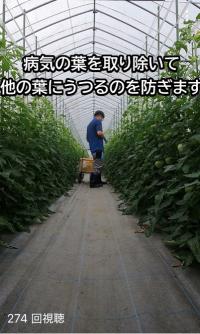 南会津での農作業体験（ショート）