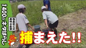 南会津町伊南地域でいきもの調査してみた！